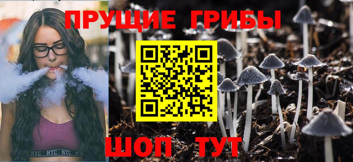 Псилоцибиновые грибы MAGIC MUSHROOMS  Вход с VPN  Михайловка 