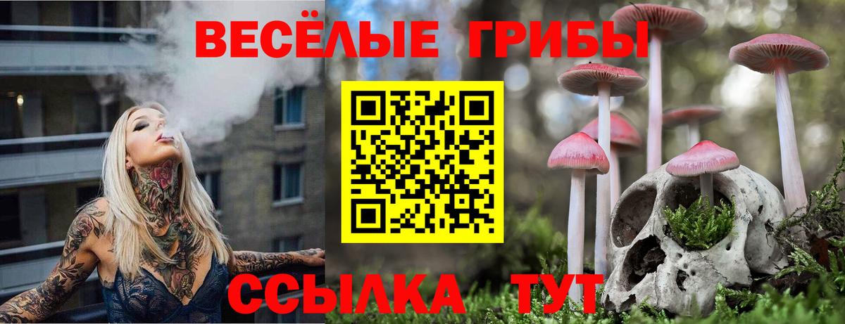 Псилоцибиновые грибы GOLDEN TEACHER Михайловка